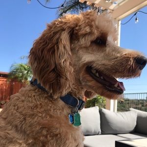 Meet your Posher, Janelle